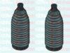 AUTOFREN SEINSA D9258C Bellow Set, steering
